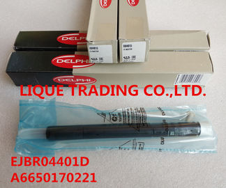 China DELPHI injector EJBR04401D , R04401D for SSANGYONG A6650170221, 6650170221 supplier