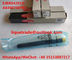 DELPHI Genuine Injector EJBR04201D , R04201D for Mercedes Benz A6460700987 , 6460700987 supplier
